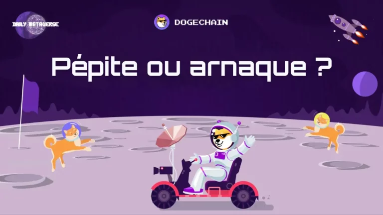 Dogechain: Pépite ou arnaque ?