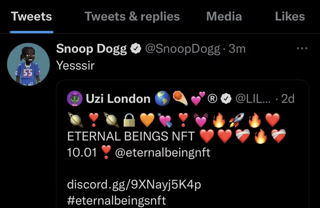 Snoop Dog tweet arnaque Eternal Beings NFT